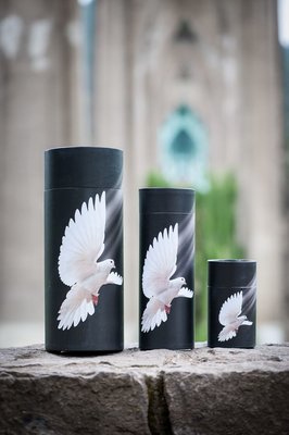 Dove Scattering Urn - Small
