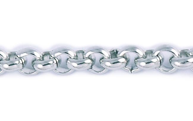SS 20 in. Round Chain