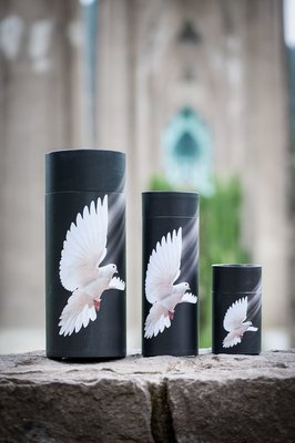 Dove Scattering Urn - Medium