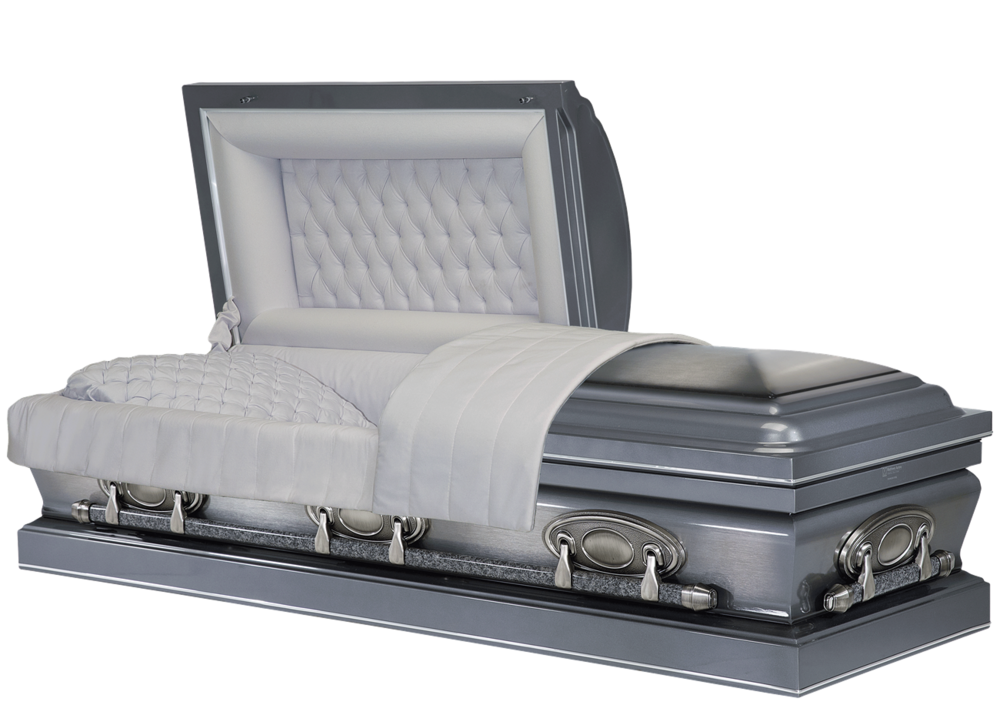 3851 Silver Pearl Brushed