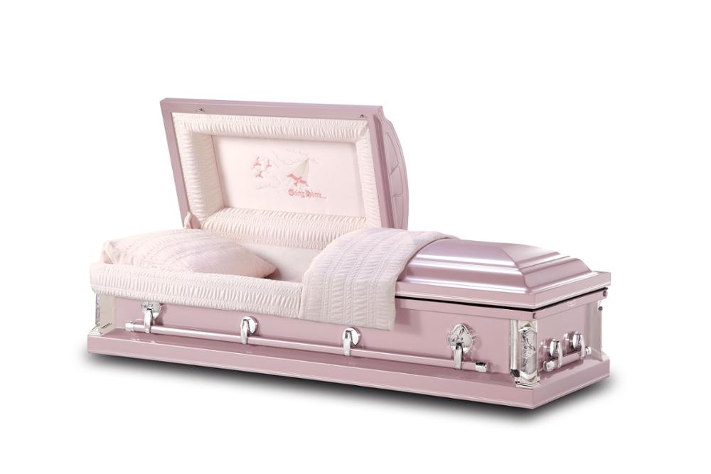 Returning Home Orchid